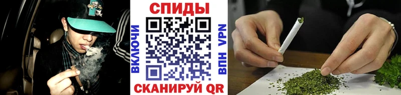 закладка  Жуковка  Бутират Butirat 