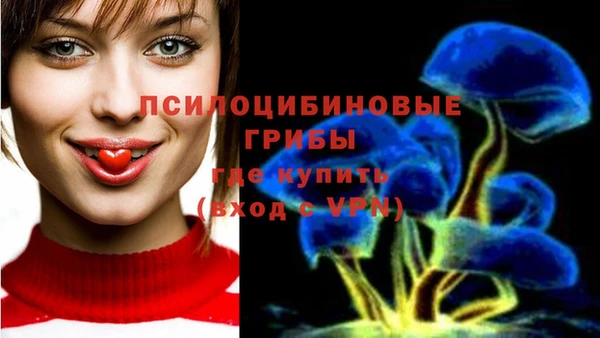 не бодяженный Алзамай