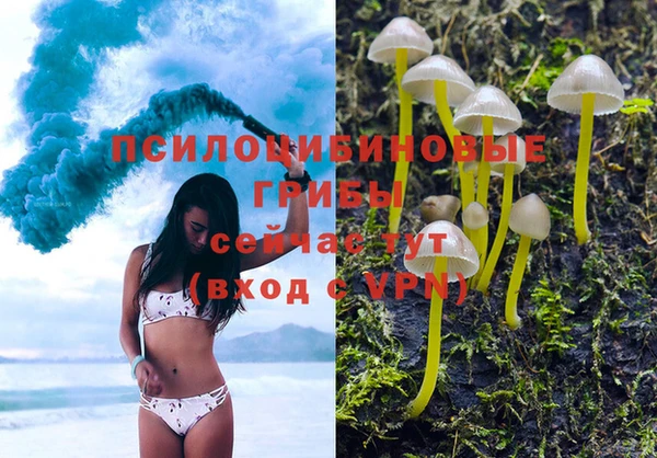 mdpv Алексин