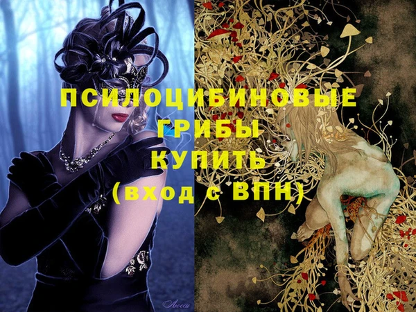 mdpv Алексин