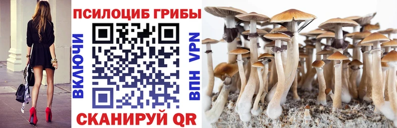Галлюциногенные грибы Psilocybine cubensis  Жуковка 